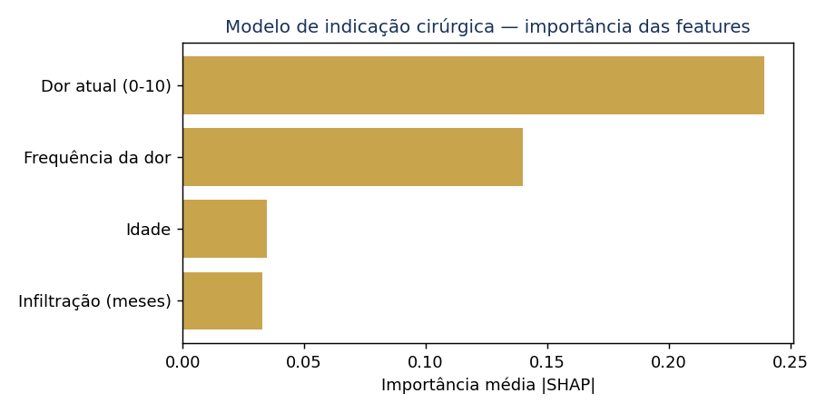 Importância das features (treino)
